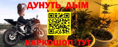 ешки Краснознаменск