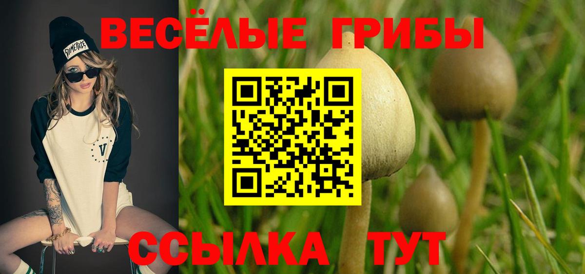 Псилоцибиновые грибы GOLDEN TEACHER  Вход с VPN  Котовск  Галлюциногенные грибы мицелий 